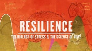 Resilience The Biology of Stress